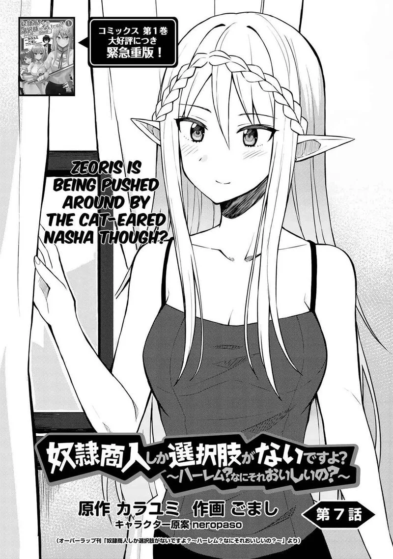 Dorei Shounin Shika Sentakushi ga Nai Desu yo? - Harem? Nani Sore Oishii no? Chapter 7 page 3