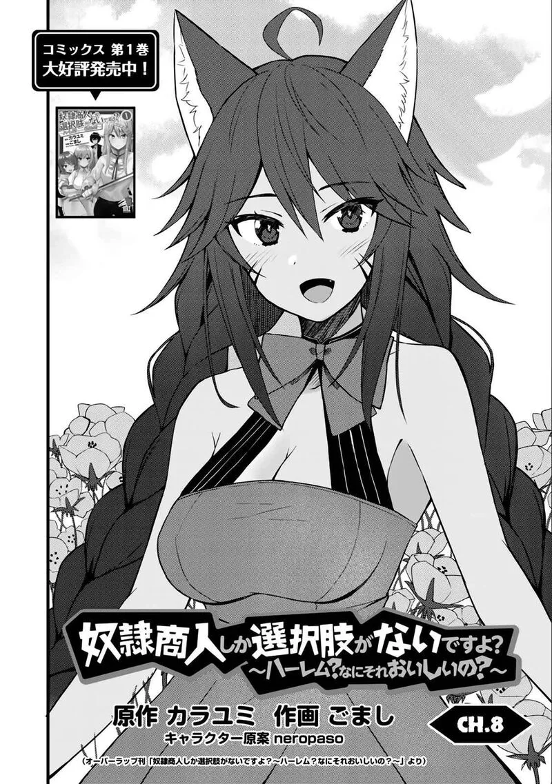Dorei Shounin Shika Sentakushi ga Nai Desu yo? - Harem? Nani Sore Oishii no? Chapter 9 page 3