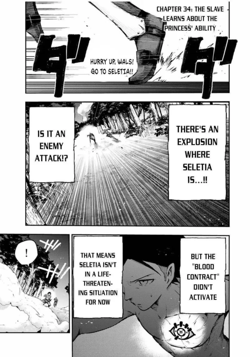 Dorei Tensei: Sono Dorei, Saikyou no Moto Ouji ni Tsuki Chapter 34 page 1