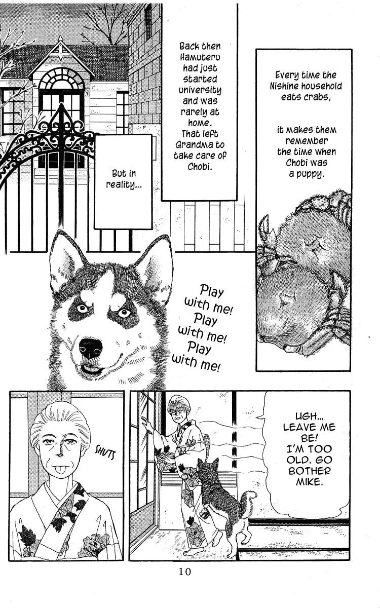 Doubutsu no Oishasan Chapter 100 page 7