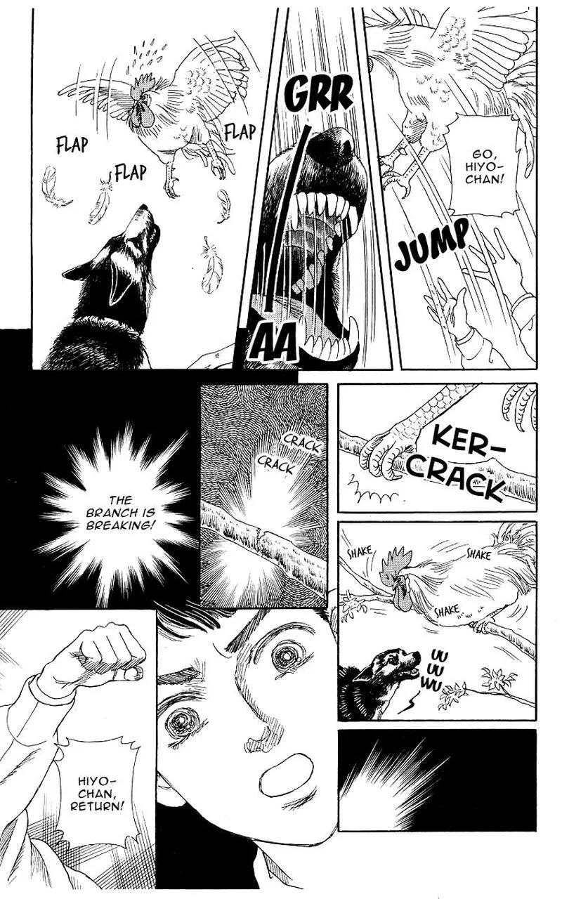 Doubutsu no Oishasan Chapter 102 page 13