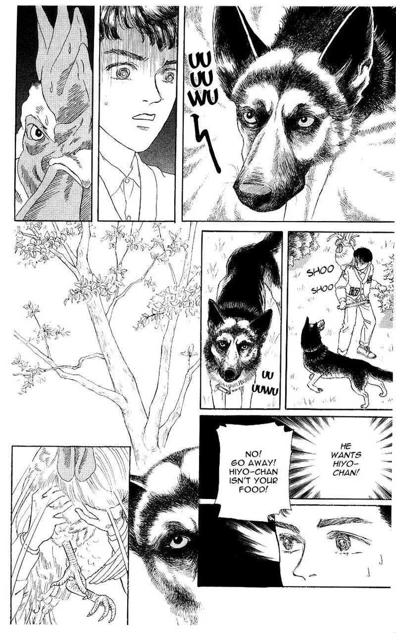 Doubutsu no Oishasan Chapter 102 page 12