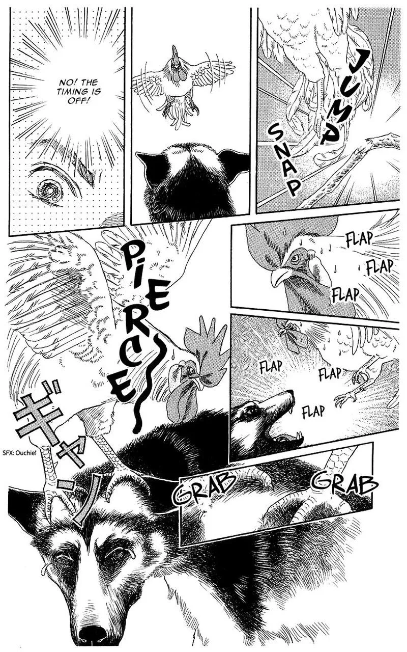 Doubutsu no Oishasan Chapter 102 page 14