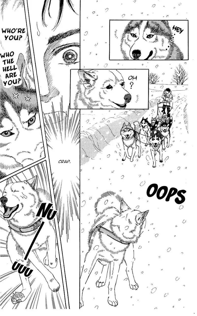 Doubutsu no Oishasan Chapter 103 page 13