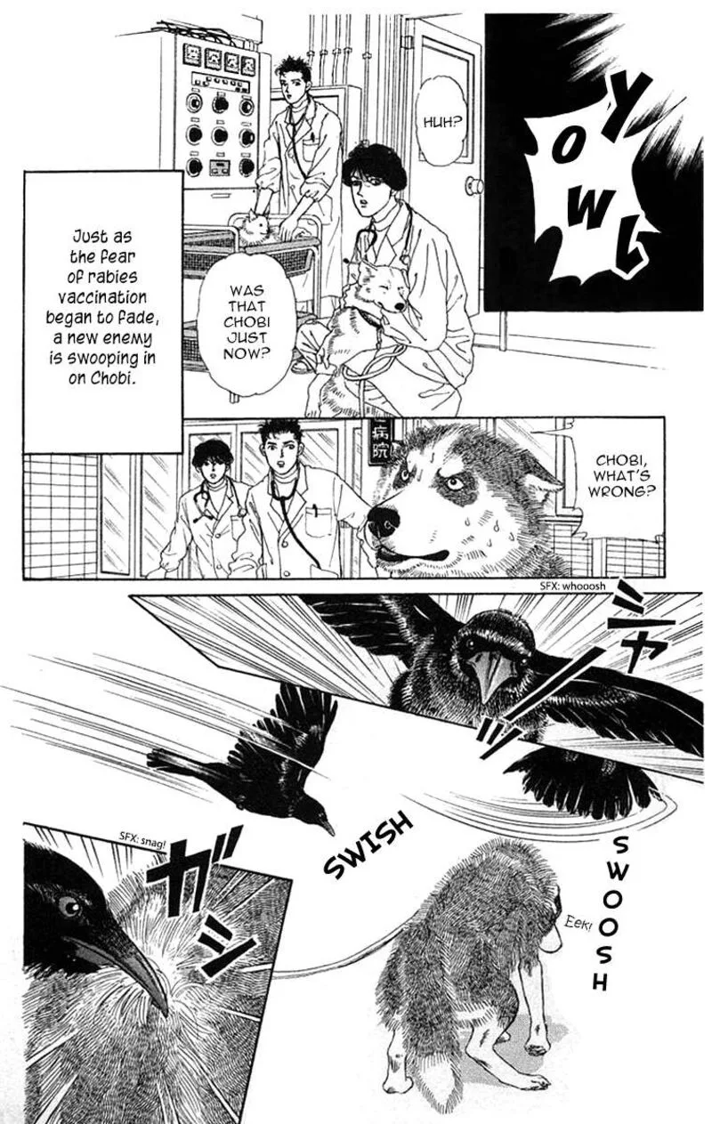 Doubutsu no Oishasan Chapter 110 page 3