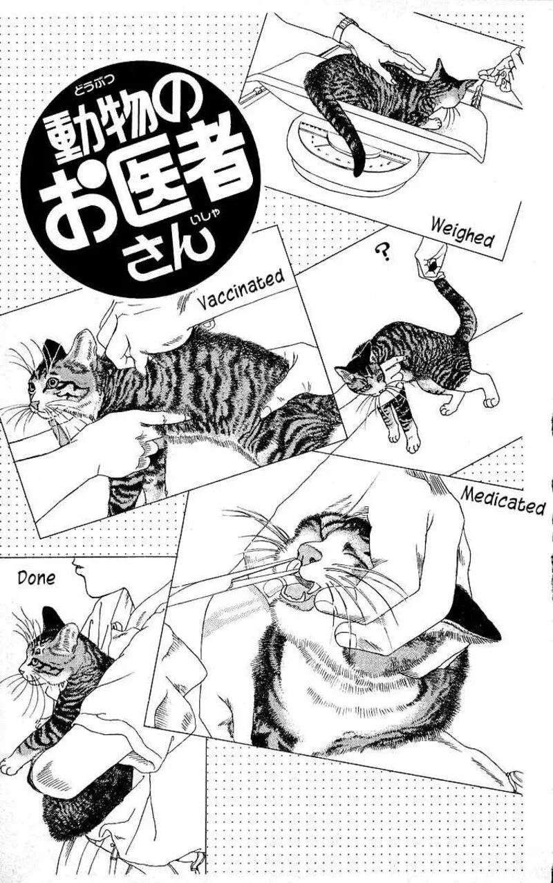 Doubutsu no Oishasan Chapter 111 page 1