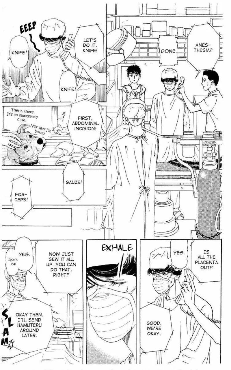 Doubutsu no Oishasan Chapter 111 page 13