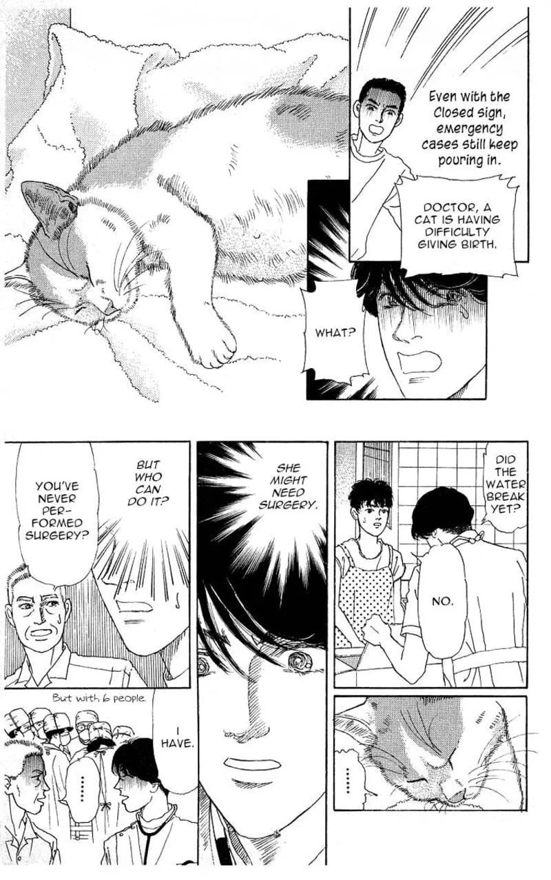 Doubutsu no Oishasan Chapter 111 page 11