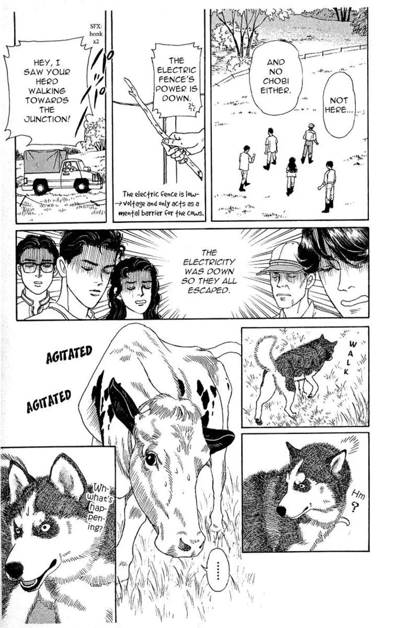 Doubutsu no Oishasan Chapter 112 page 11