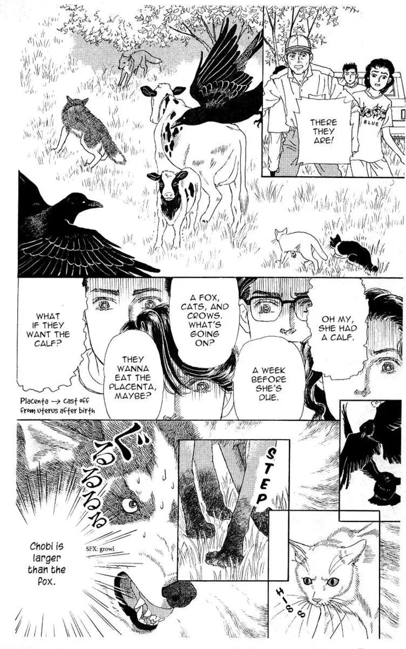 Doubutsu no Oishasan Chapter 112 page 16