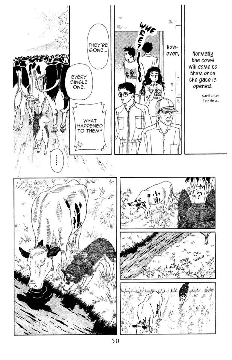 Doubutsu no Oishasan Chapter 112 page 10