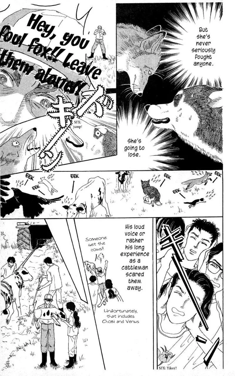 Doubutsu no Oishasan Chapter 112 page 17