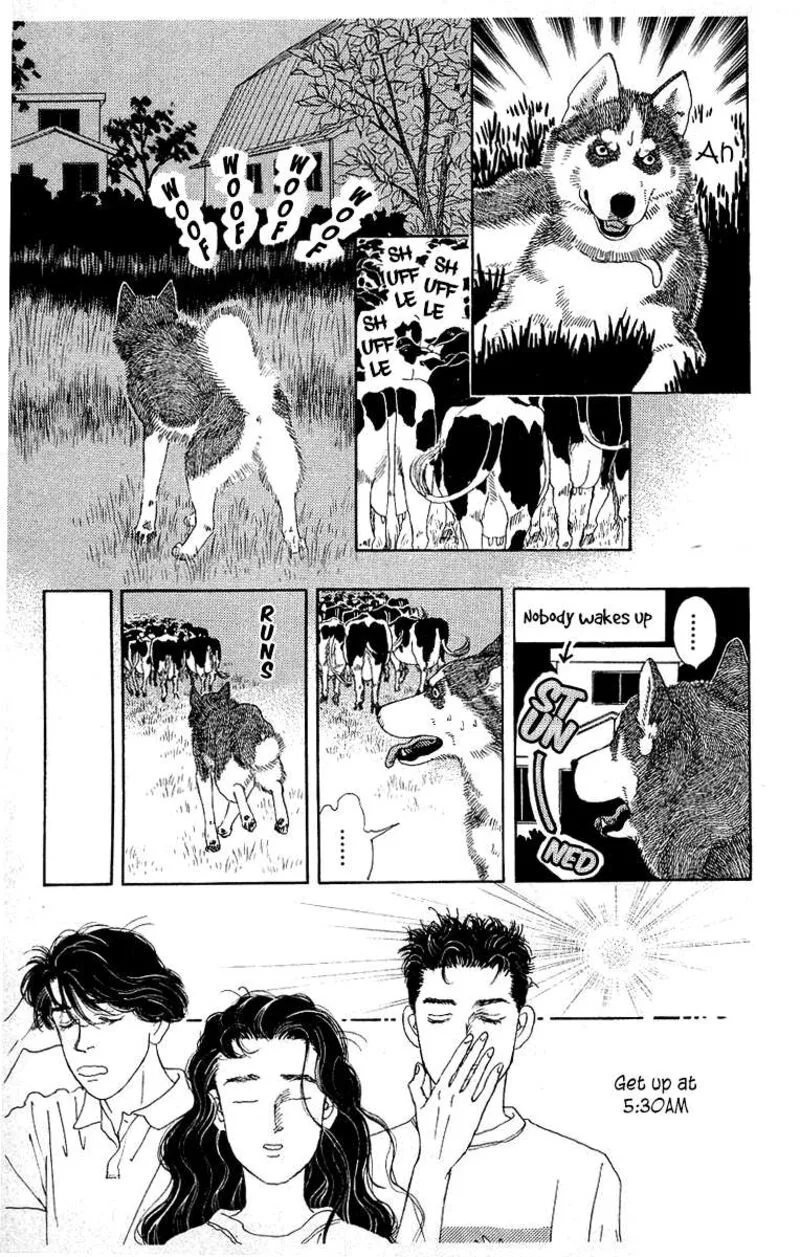 Doubutsu no Oishasan Chapter 112 page 9