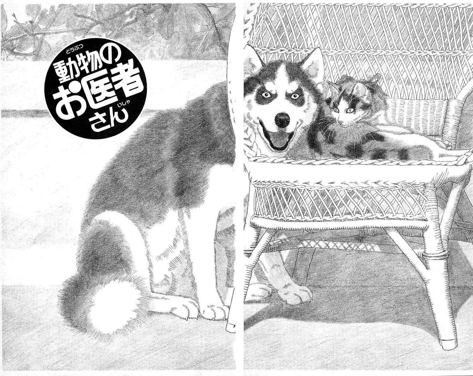Doubutsu no Oishasan Chapter 113 page 2