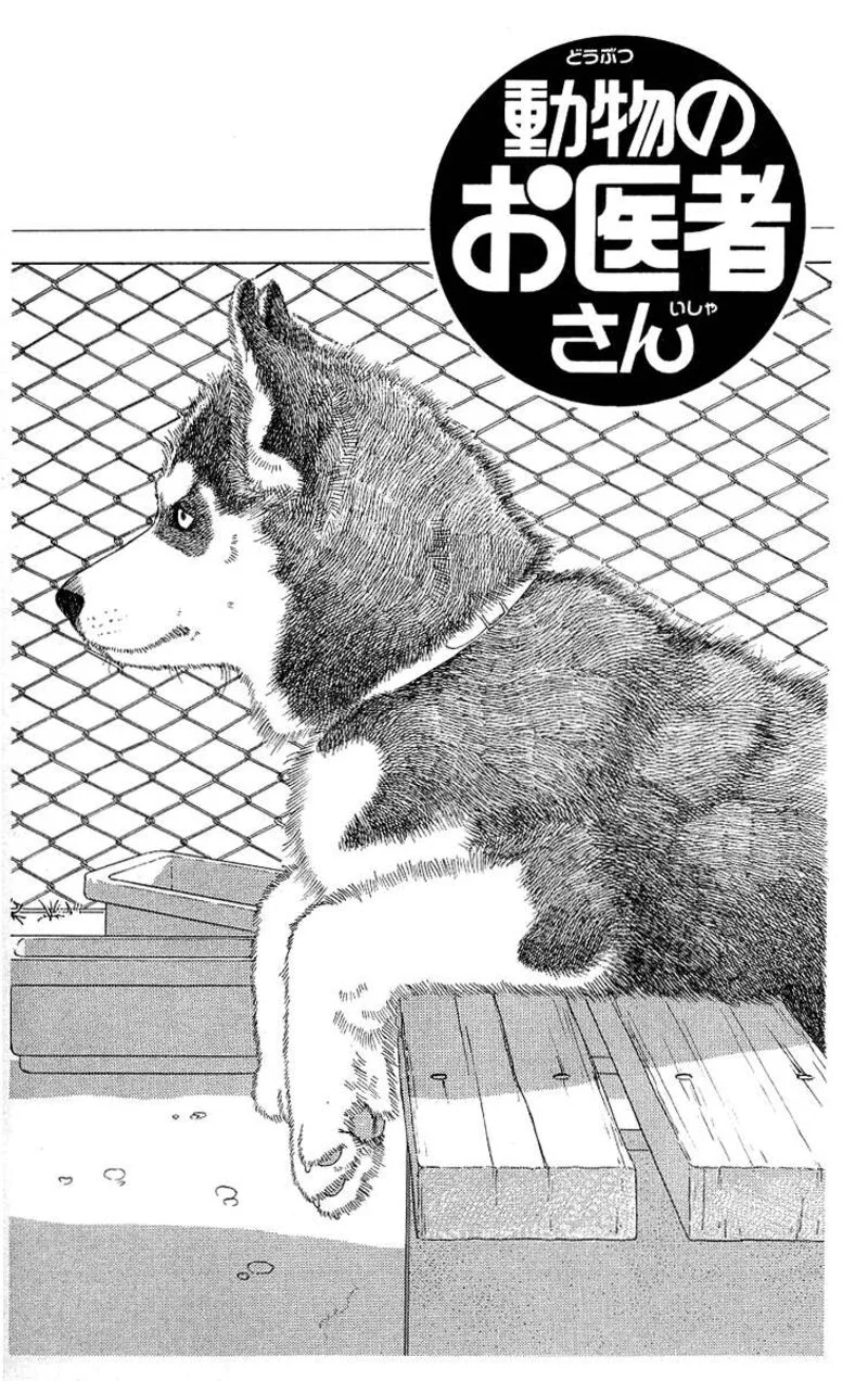 Doubutsu no Oishasan Chapter 115 page 1