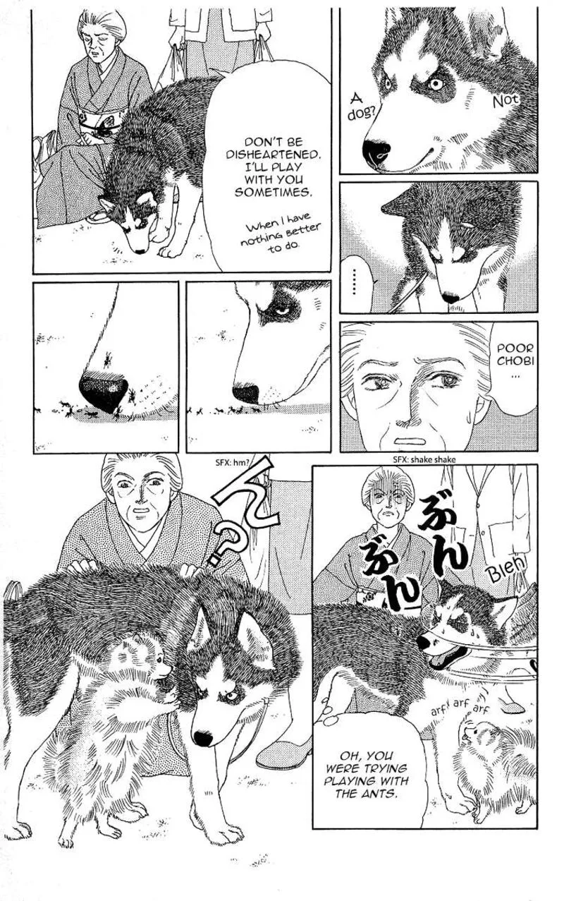 Doubutsu no Oishasan Chapter 115 page 5