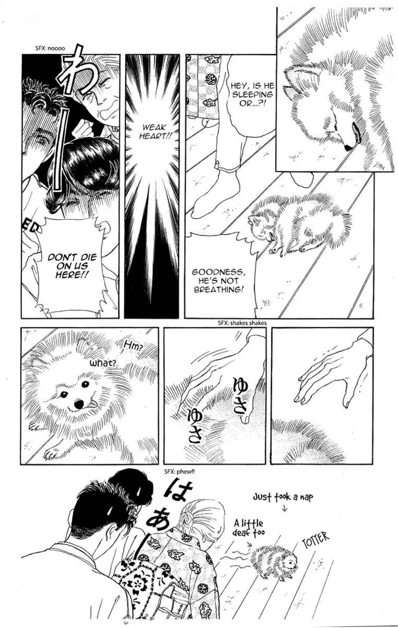 Doubutsu no Oishasan Chapter 115 page 16