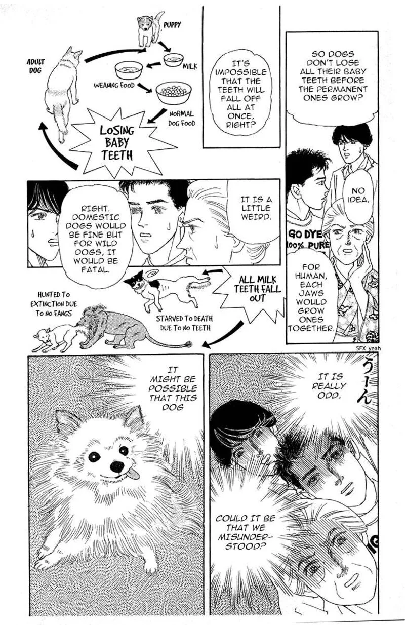 Doubutsu no Oishasan Chapter 115 page 14