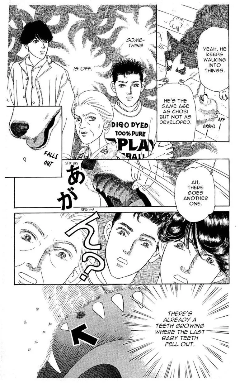 Doubutsu no Oishasan Chapter 115 page 13