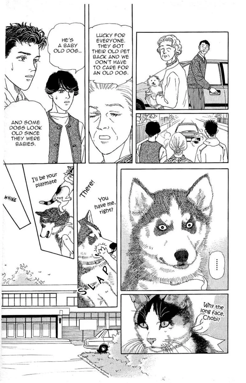 Doubutsu no Oishasan Chapter 115 page 17