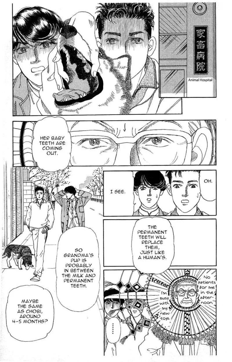 Doubutsu no Oishasan Chapter 115 page 11