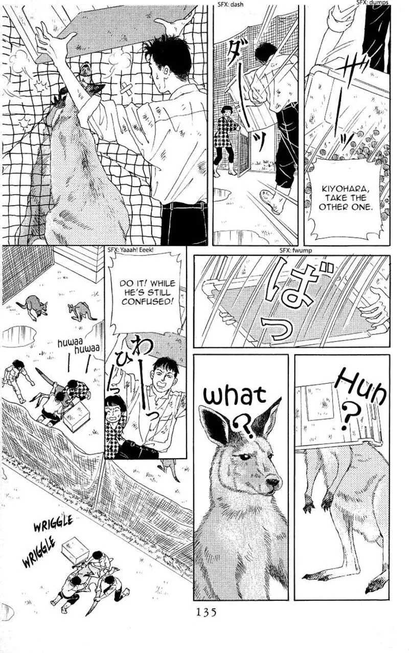 Doubutsu no Oishasan Chapter 116 page 17