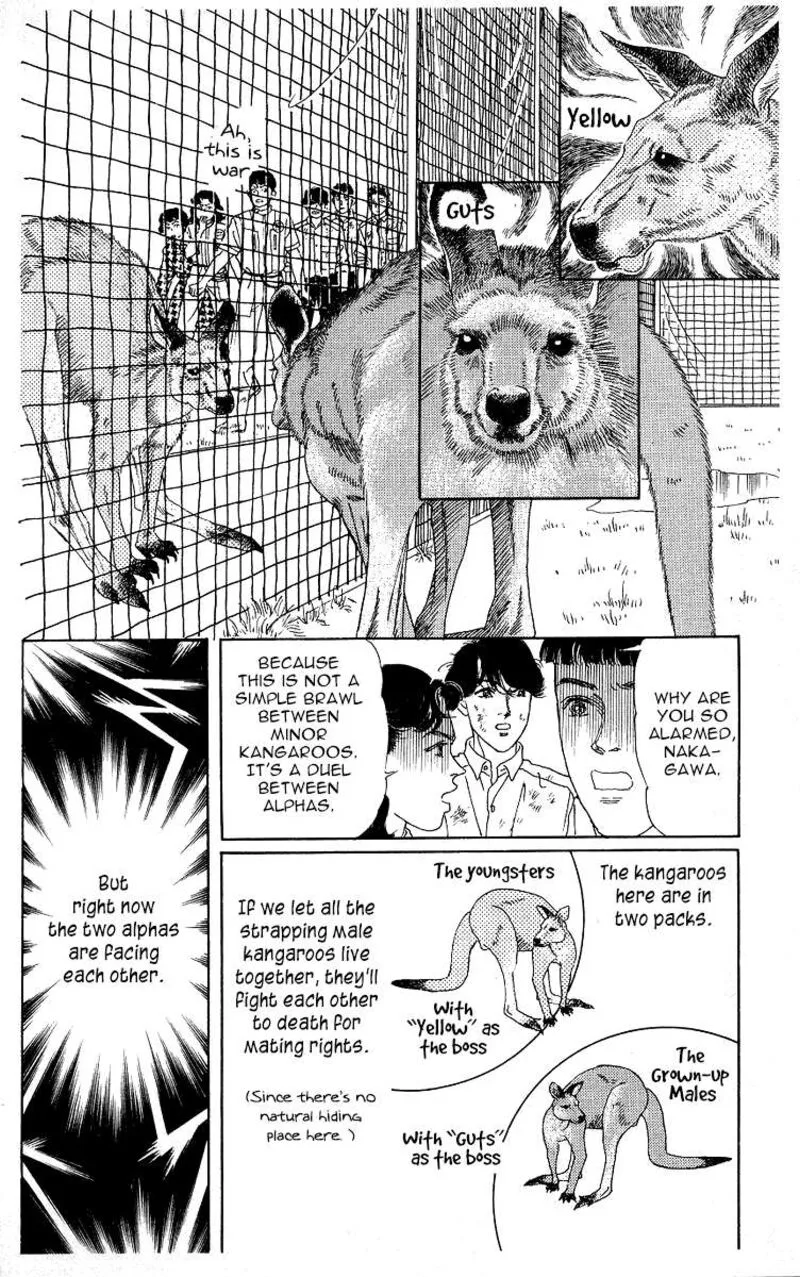 Doubutsu no Oishasan Chapter 116 page 14