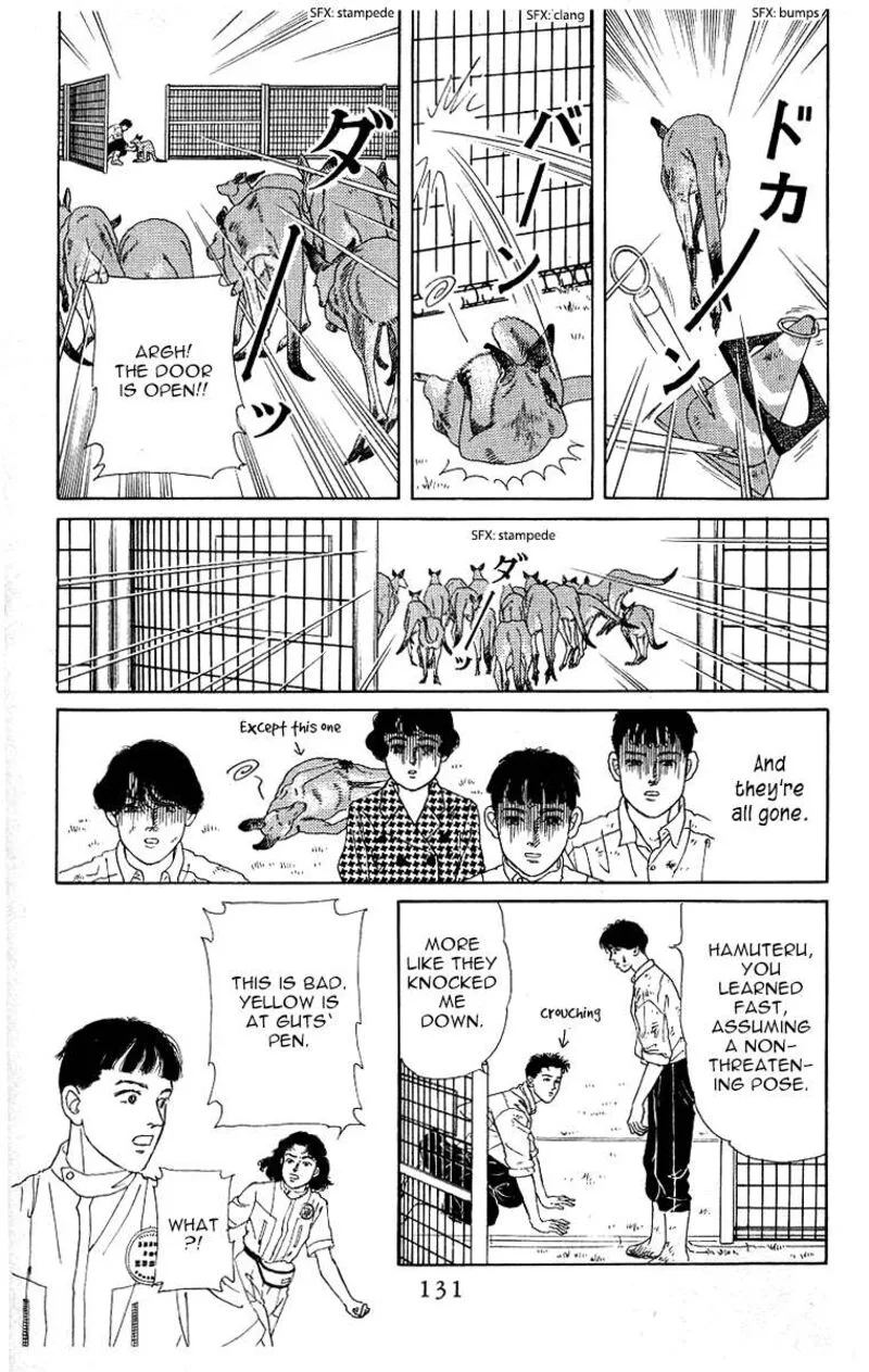Doubutsu no Oishasan Chapter 116 page 13