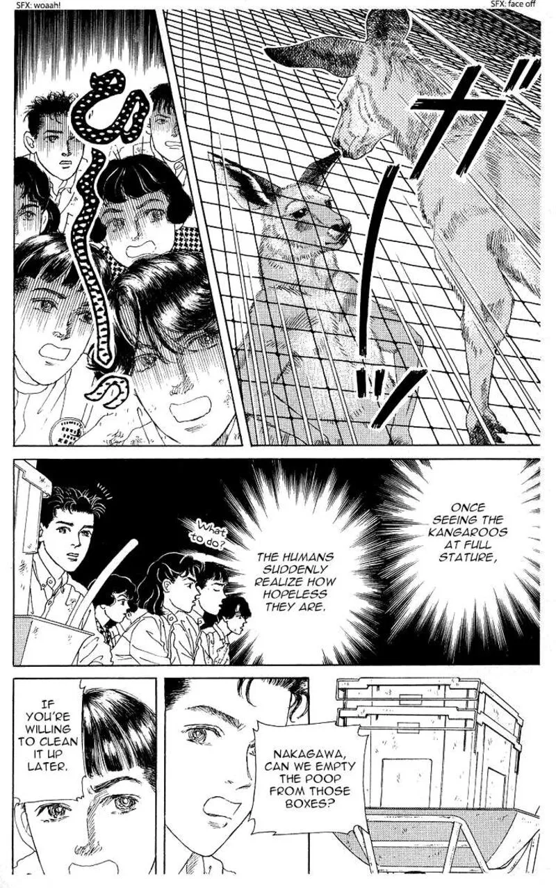 Doubutsu no Oishasan Chapter 116 page 16