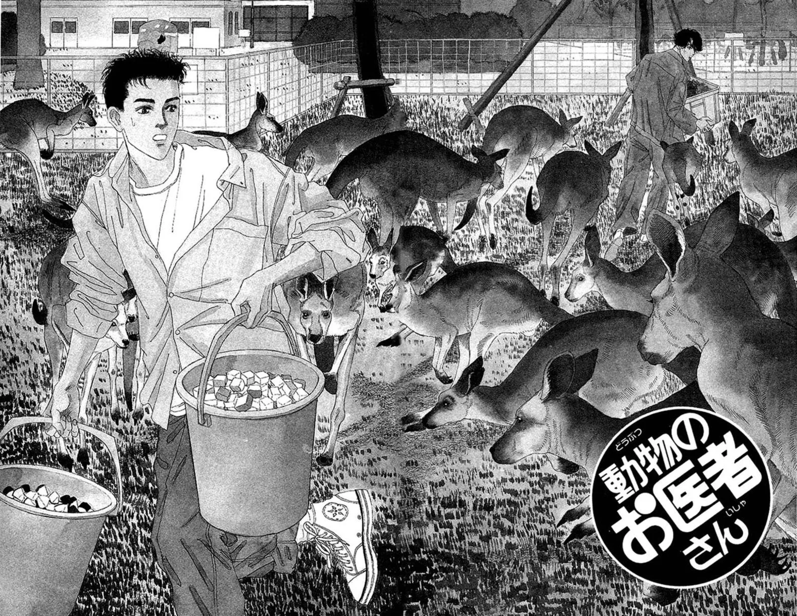 Doubutsu no Oishasan Chapter 116 page 1