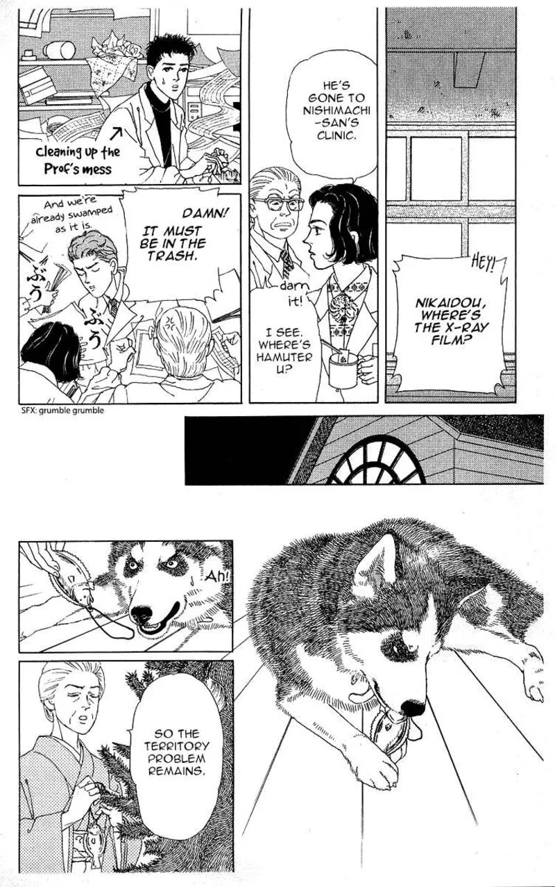 Doubutsu no Oishasan Chapter 119 page 8