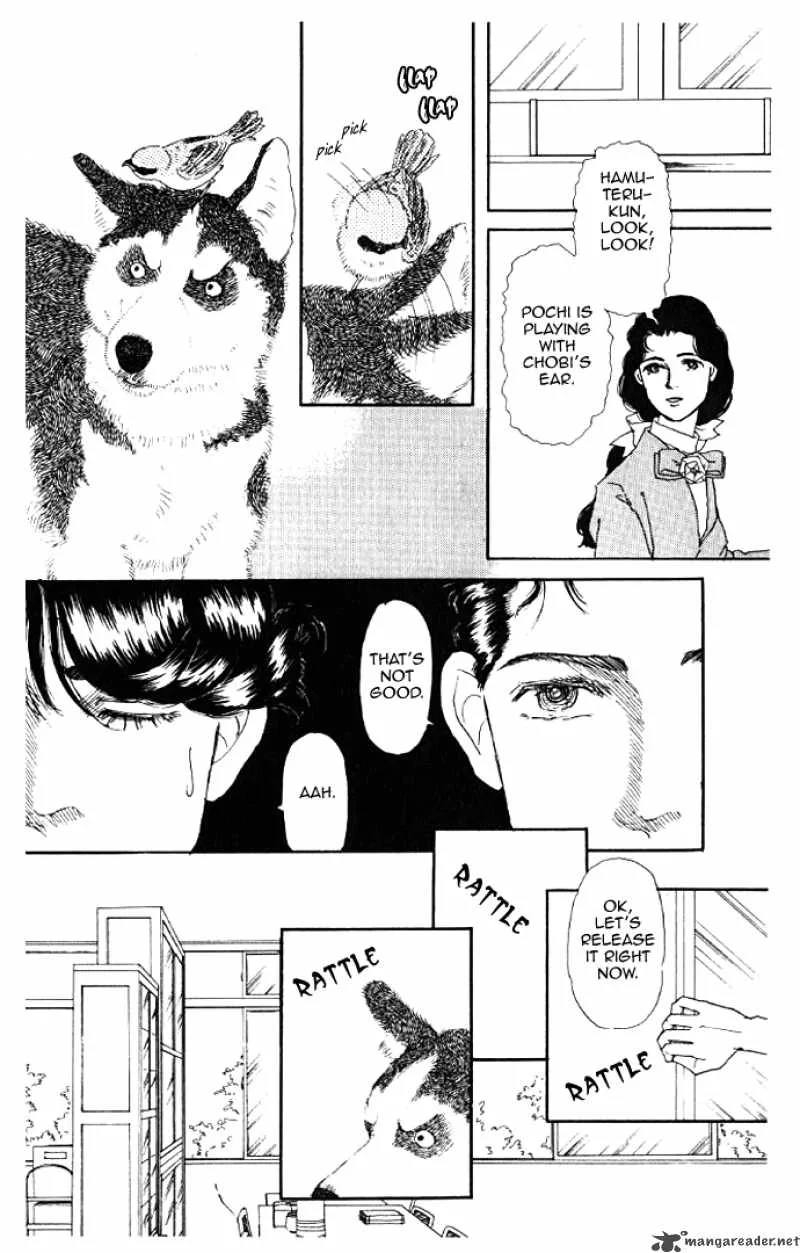 Doubutsu no Oishasan Chapter 13 page 14