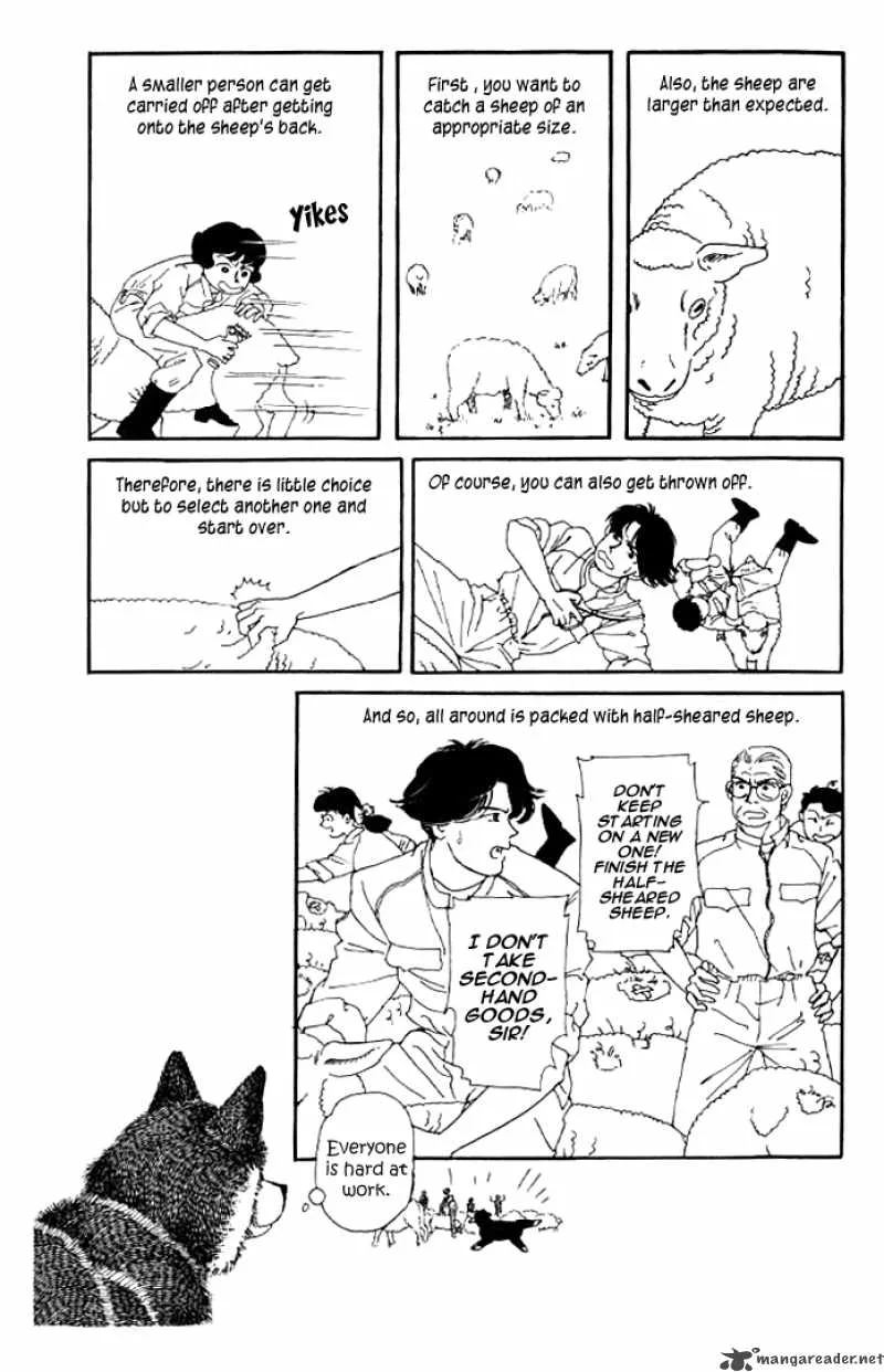 Doubutsu no Oishasan Chapter 15 page 13