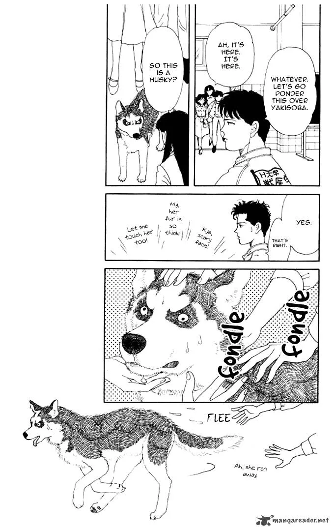 Doubutsu no Oishasan Chapter 19 page 9