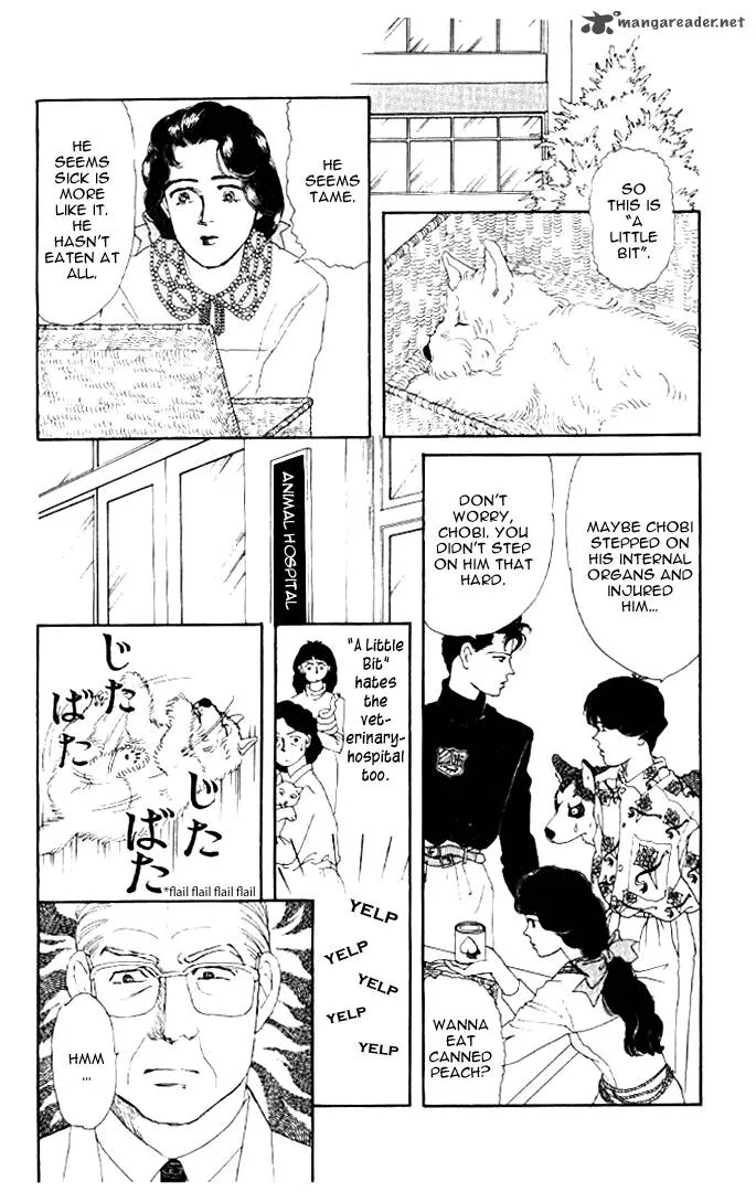 Doubutsu no Oishasan Chapter 20 page 15