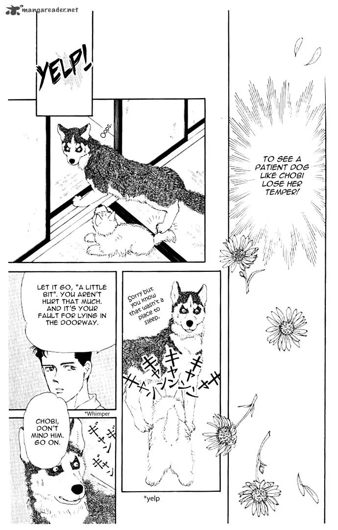 Doubutsu no Oishasan Chapter 20 page 14