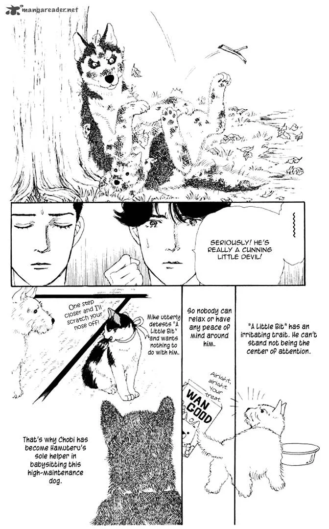 Doubutsu no Oishasan Chapter 20 page 11