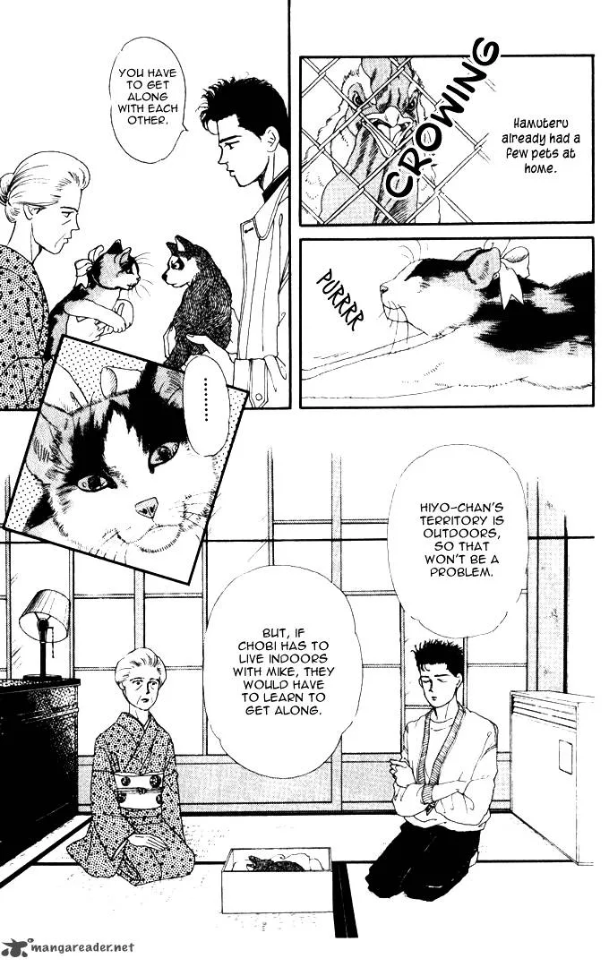 Doubutsu no Oishasan Chapter 26 page 4