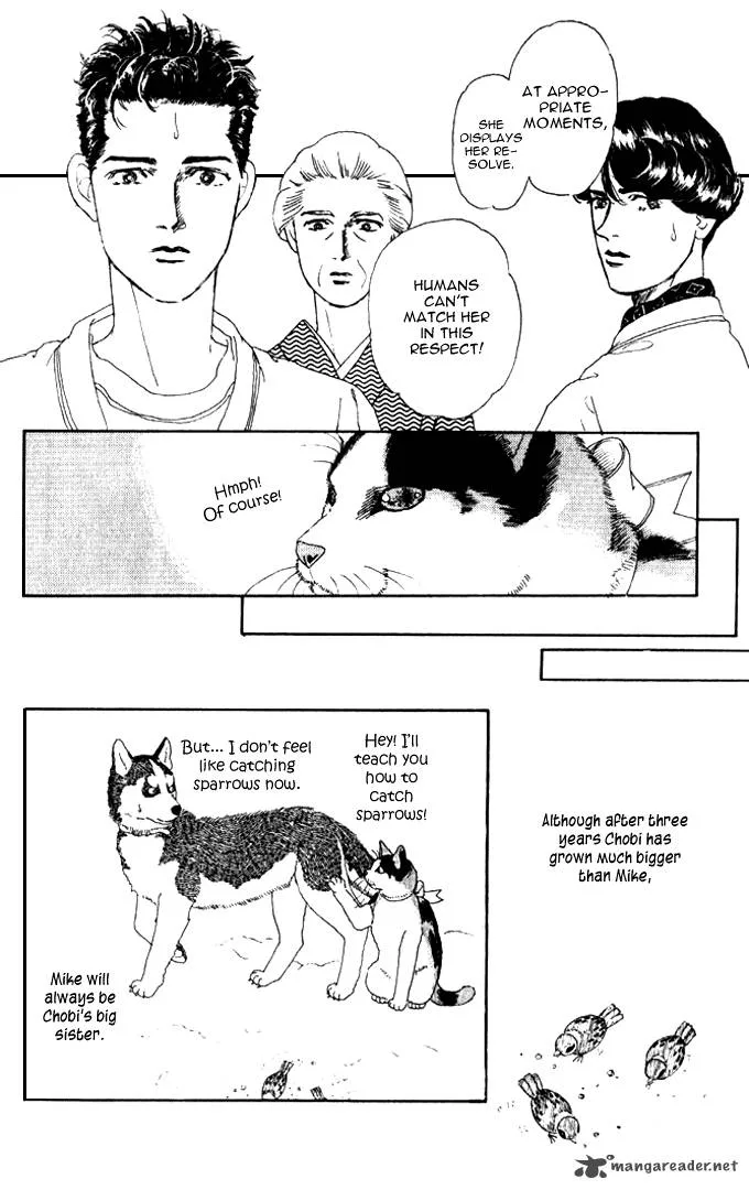 Doubutsu no Oishasan Chapter 26 page 19