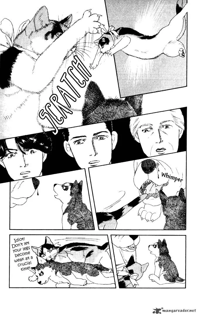 Doubutsu no Oishasan Chapter 26 page 16