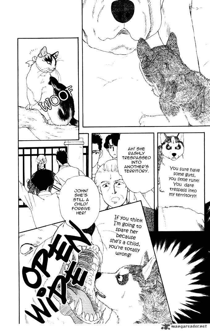 Doubutsu no Oishasan Chapter 26 page 15