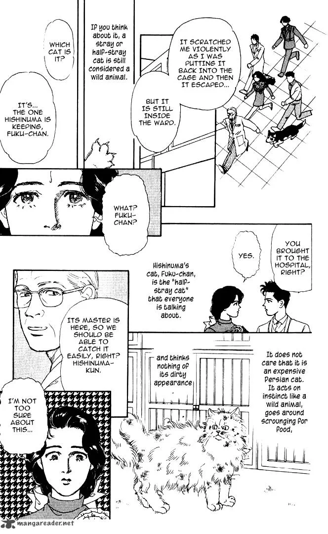 Doubutsu no Oishasan Chapter 28 page 15