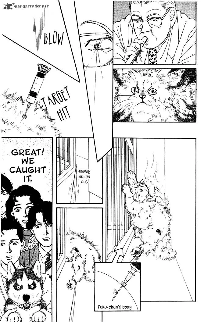 Doubutsu no Oishasan Chapter 28 page 19