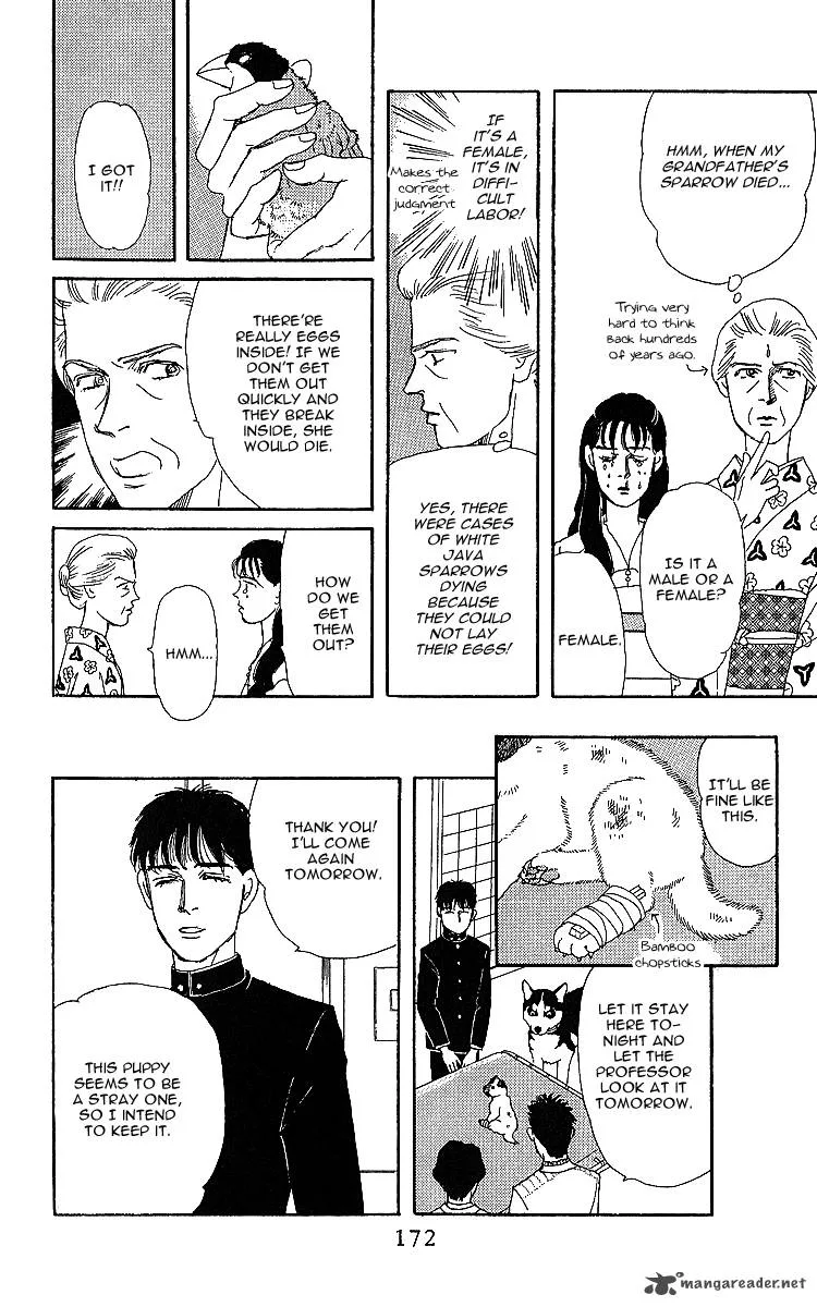 Doubutsu no Oishasan Chapter 32 page 16