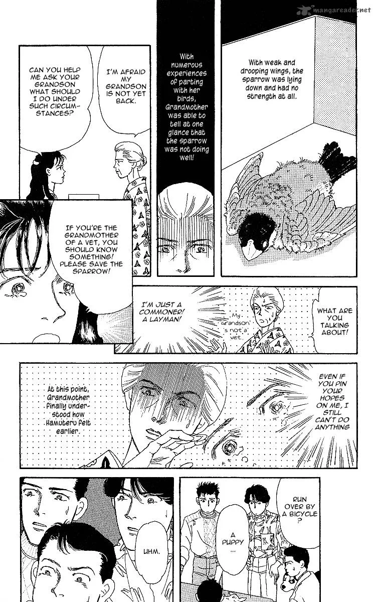 Doubutsu no Oishasan Chapter 32 page 11