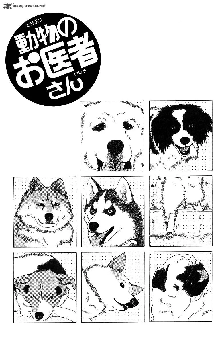 Doubutsu no Oishasan Chapter 33 page 3