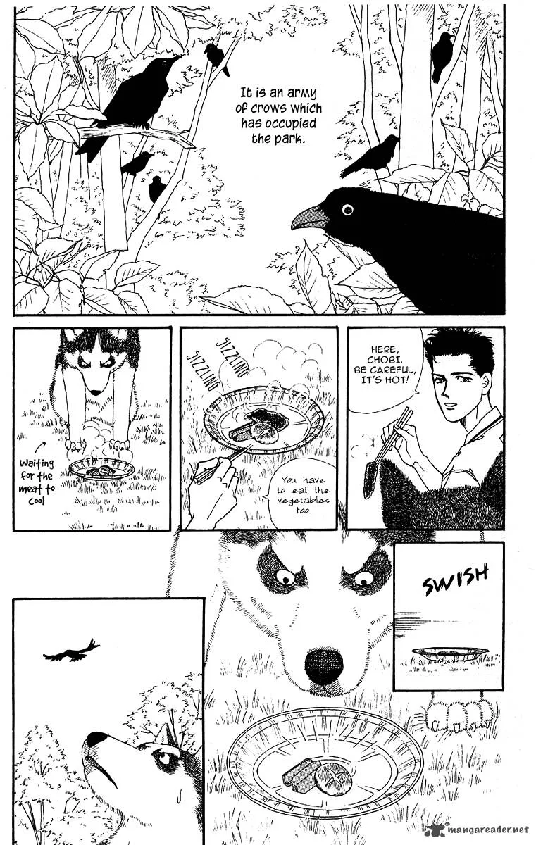 Doubutsu no Oishasan Chapter 34 page 4