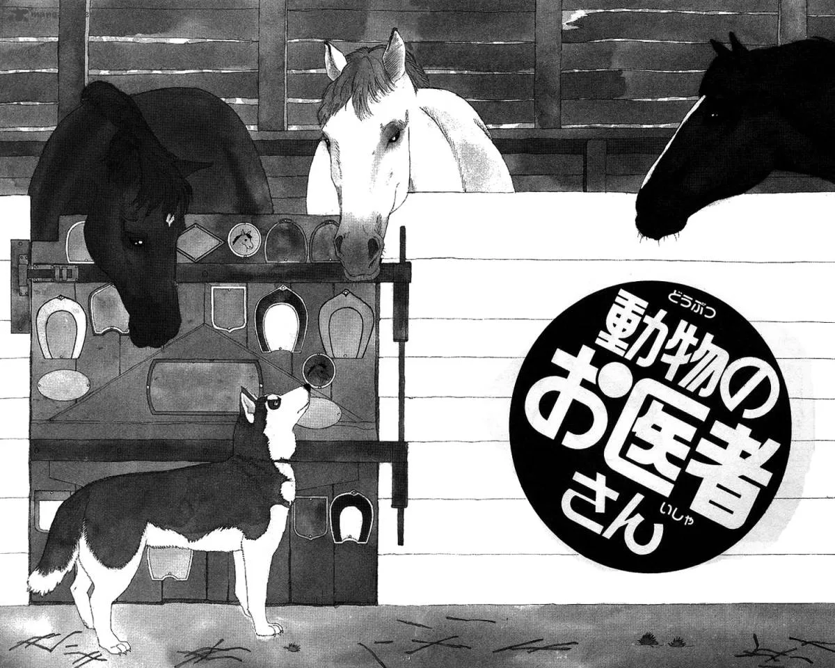 Doubutsu no Oishasan Chapter 36 page 3