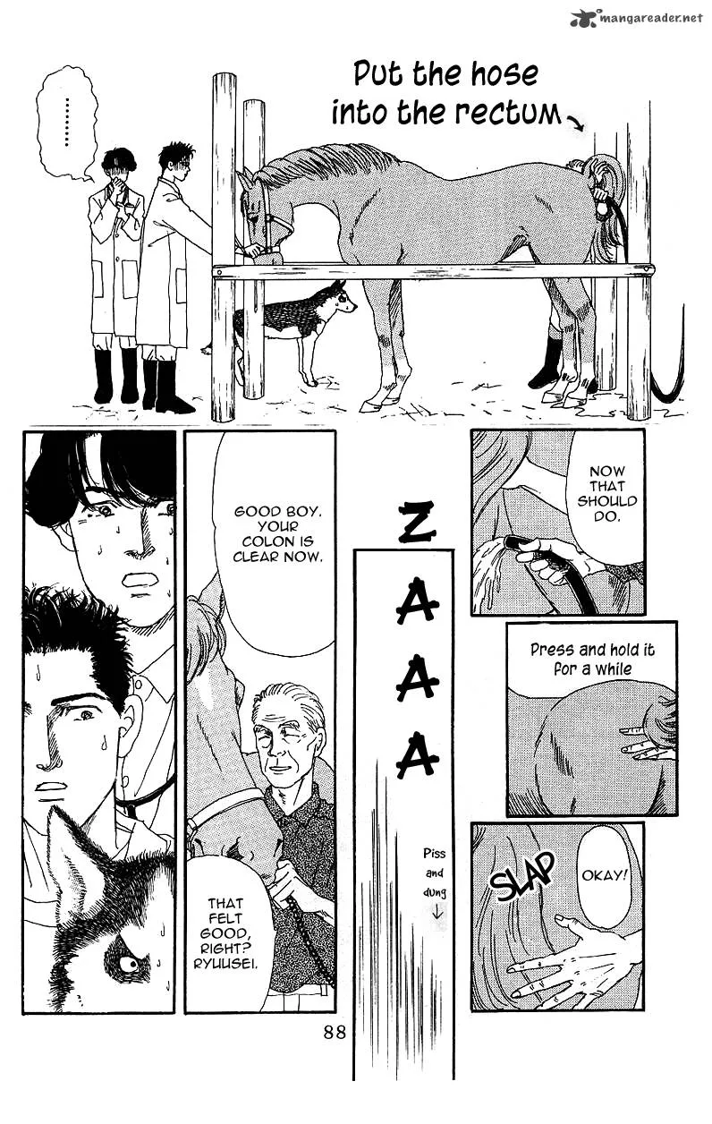 Doubutsu no Oishasan Chapter 37 page 16