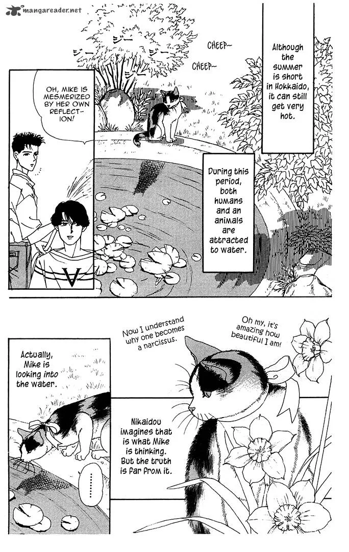 Doubutsu no Oishasan Chapter 38 page 3